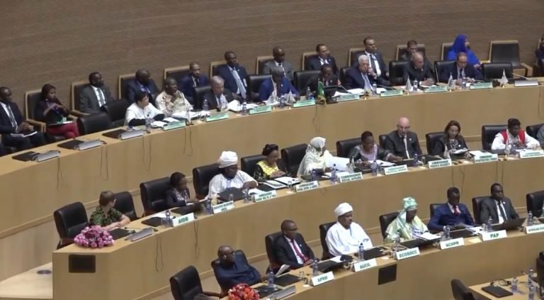 Inicia Cumbre de la Unión Africana centrada en desplazamiento forzado, paz y seguridad