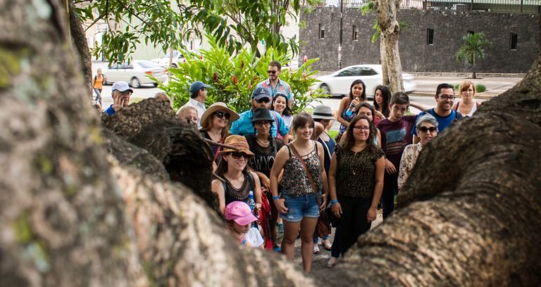 Chepe florece: Historia, cultura y árboles se combinan para traer un tour único en la ciudad