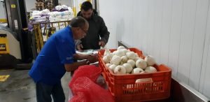 CNP verifica calidad de productos agrícolas de importación