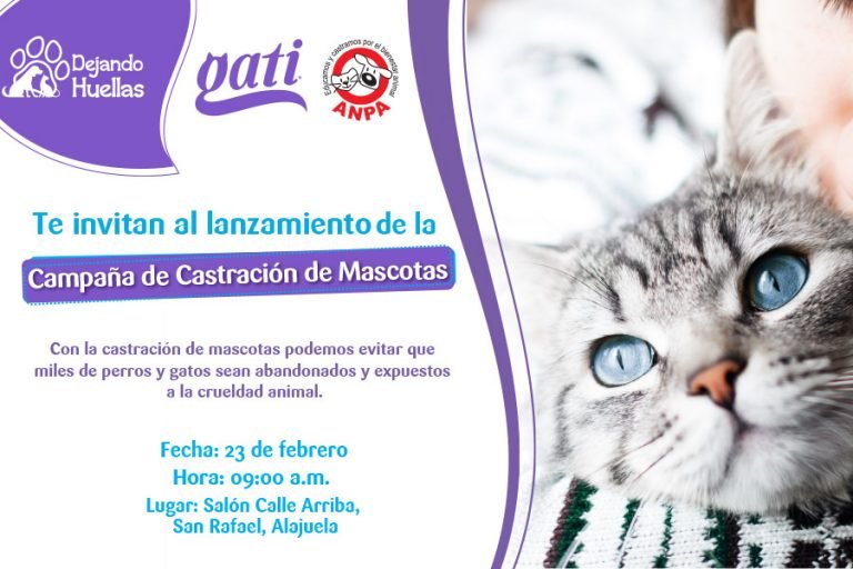 Campaña “Dejando Huellas” permitirá castración de gatos y perros