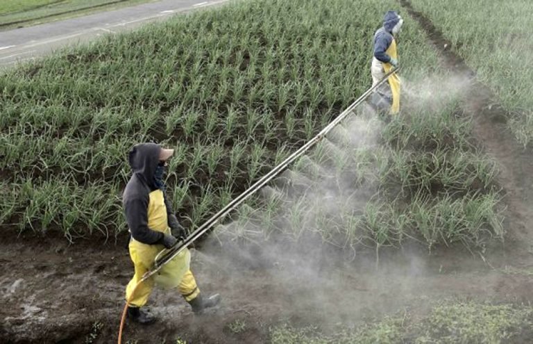 Agricultores llevan a Sala Constitucional reglamento de actualización de registro de plaguicidas