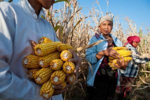 Expertos de América Latina y el Caribe debaten cómo avanzar hacia sistemas alimentarios sostenibles