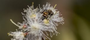 El mundo debe luchar contra el peligro inminente de la contaminación química