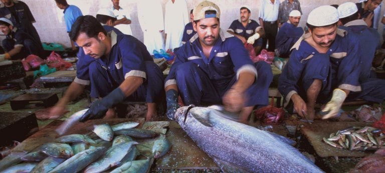 Bajos salarios y horribles condiciones laborales afectan a millones de pescadores