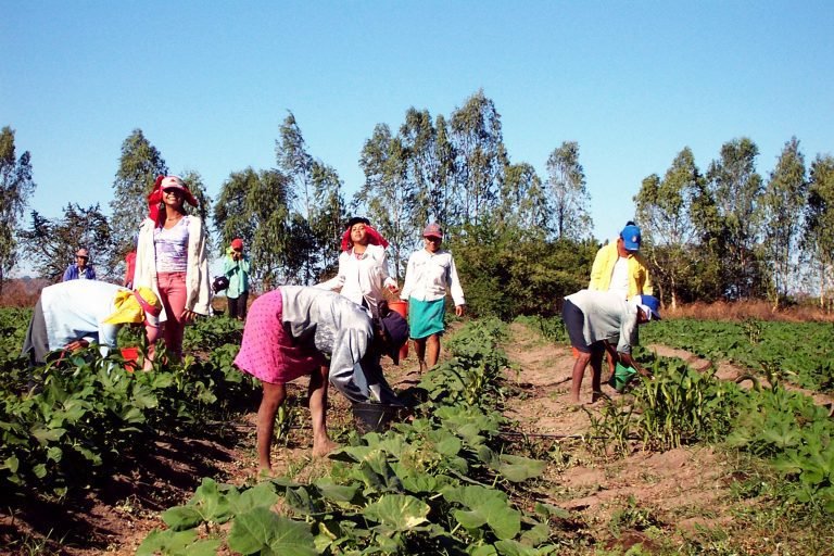 IICA ratifica compromiso con la reducción de desigualdades que enfrentan las mujeres rurales