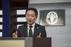 Una guía de la FAO explica cómo proteger los bosques de los insectos invasores