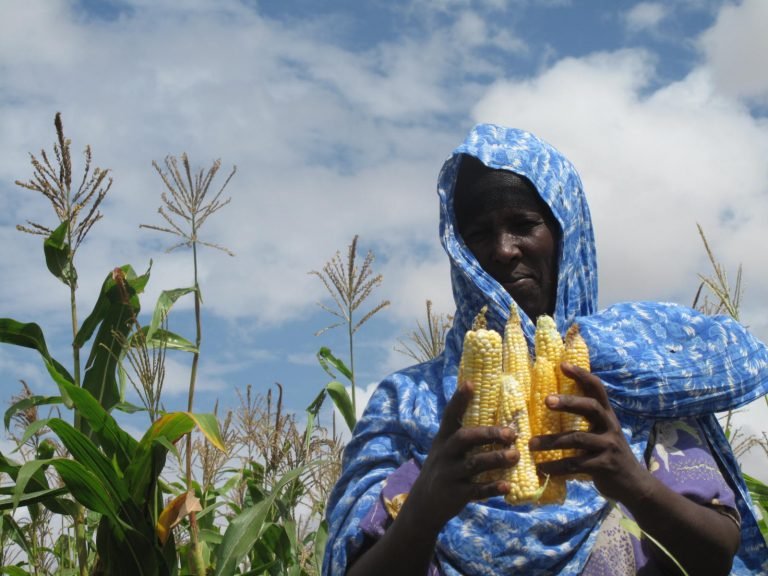 Utilizar la innovación para ayudar en Somalia pese a la COVID-19