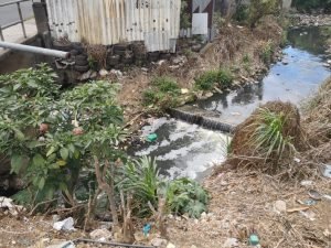 Municipalidad de Desamparados organiza jornada masiva de limpieza de ríos