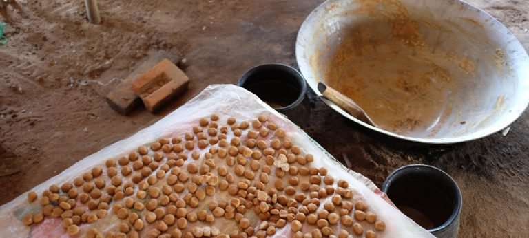 La lucha por los recursos hídricos y la seguridad alimentaria en la Zona Seca de Myanmar