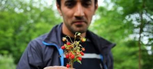 Cambio climático: Europa y Asia trabajan para lograr los Objetivos de Desarrollo Sostenible