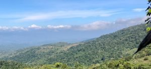 Wagner Jiménez denuncia abandono por parte del gobierno del Parque Internacional La Amistad