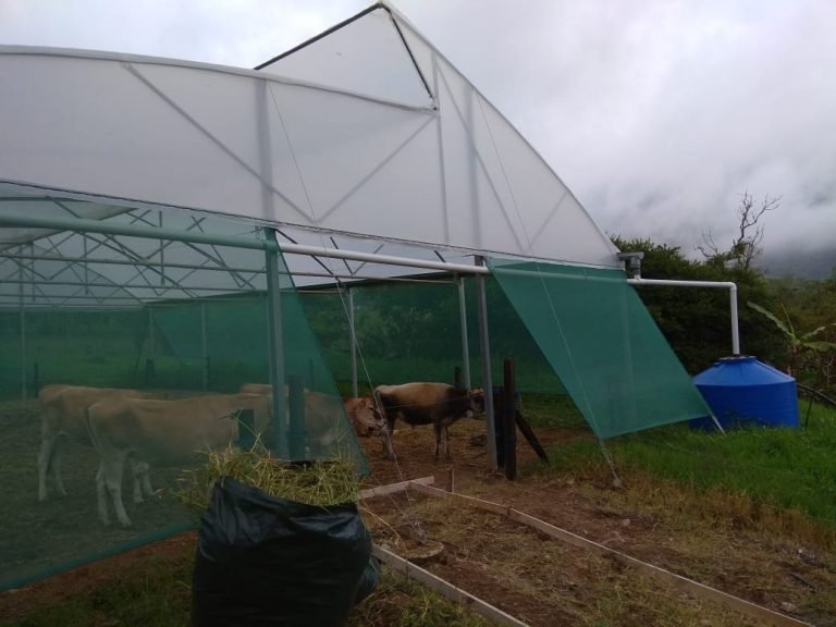 Ganaderos de Turrialba reciben suministros y equipo para enfrentar cambio climático