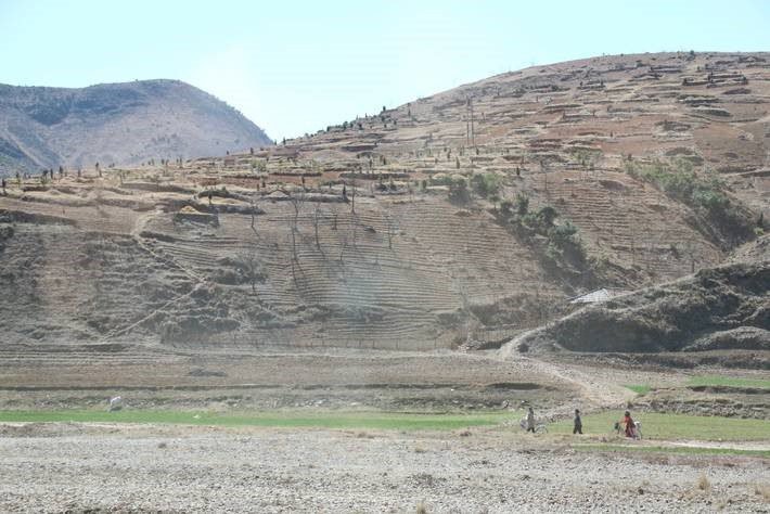 10 millones de personas en Corea del Norte se enfrentan a una inminente escasez de alimentos