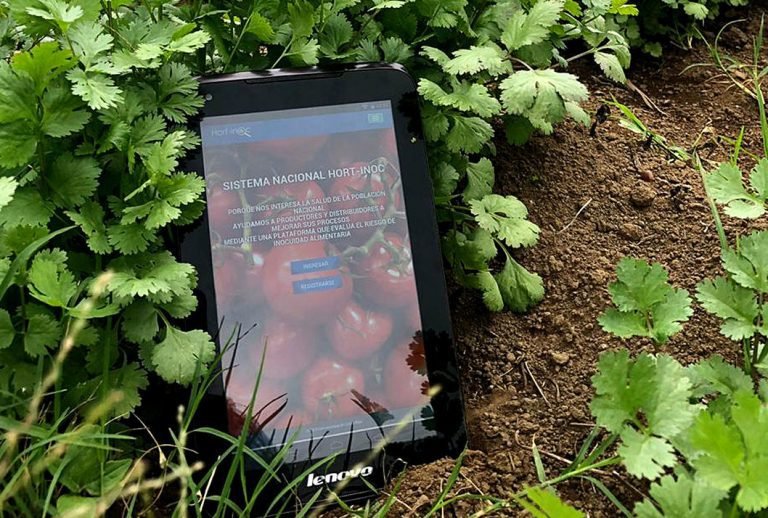 UCR crea primera herramienta digital para evitar contaminación de hortalizas