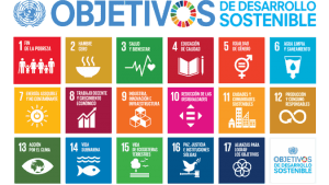 La Agenda 2030 y el gobierno local deben realizar lazos