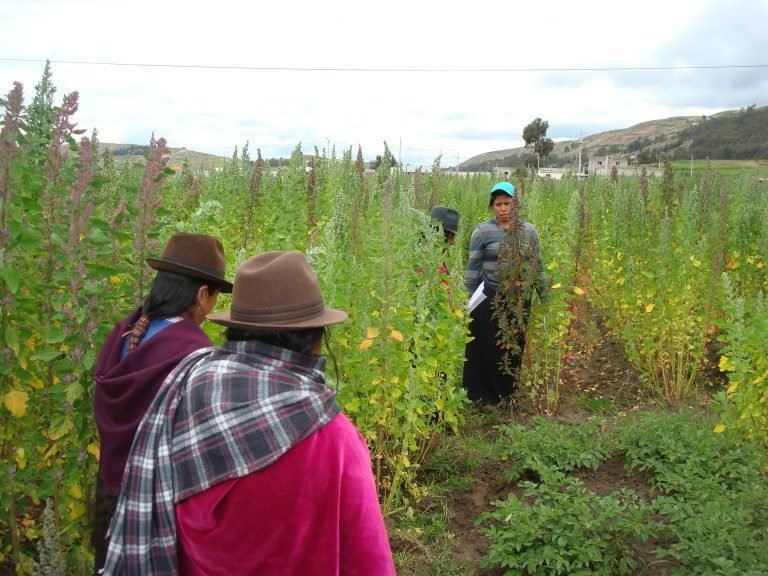 Nueva guía de la FAO destaca relevancia de derechos de tenencia en el Congreso Mundial de Agroforestería