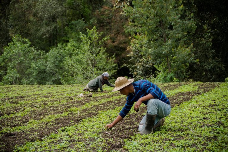 Mesa de Diálogo Multisectorial se une a Marcha del Sector Agro contra políticas del Gobierno