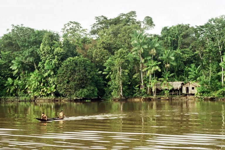 FAO y OTCA se alían para reforzar la protección de los recursos naturales de la Amazonía