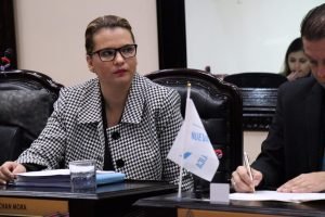 Carmen Chan: Empresas cierran por el pésimo gobierno de los ‘más preparados’