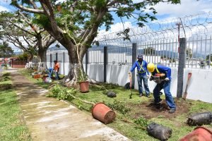 Contrario a lo que sucede con el gobierno, alcaldes están muy bien calificados
