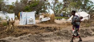 Acciones contra cambio climático y desarrollo sostenible son inseparables