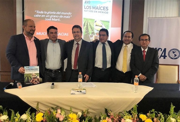 IICA promueve rescate de maíces nativos de México y su uso en gastronomía ancestral