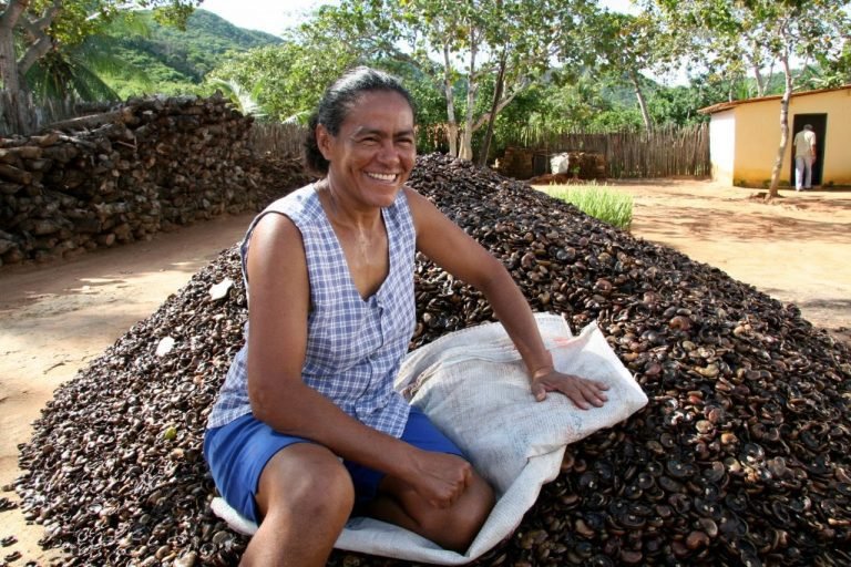 IICA lanza foro virtual para promover el empoderamiento de las mujeres rurales