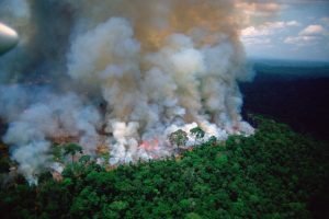 Bloque Verde y Diwö Ambiental convocan a manifestación en defensa de la Amazonía