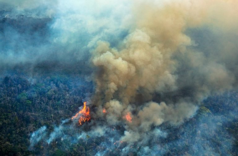 Aumento de deforestación crea condiciones para incremento de incendios en la Amazonía