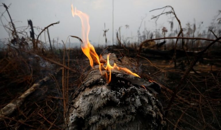 Origen y acciones del mundo ante crisis del Amazonas