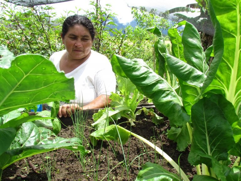 Las consecuencias del cambio climático cada vez afectan más a las mujeres, señala Defensoría