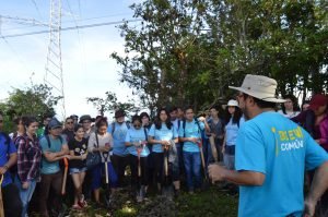 Municipalidad de Montes de Oca invita a participar en una siembra masiva de árboles