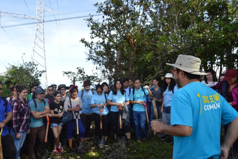 Municipalidad de Montes de Oca invita a participar en una siembra masiva de árboles