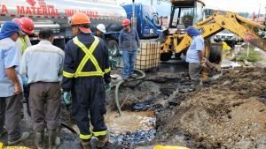 No es una vaca cualquiera