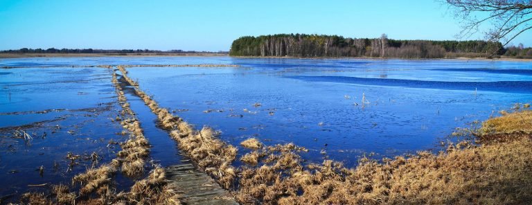 La naturaleza, el aliado más efectivo contra el cambio climático