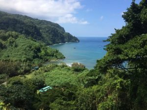 Isla del Coco recibió el premio “Blue Park”