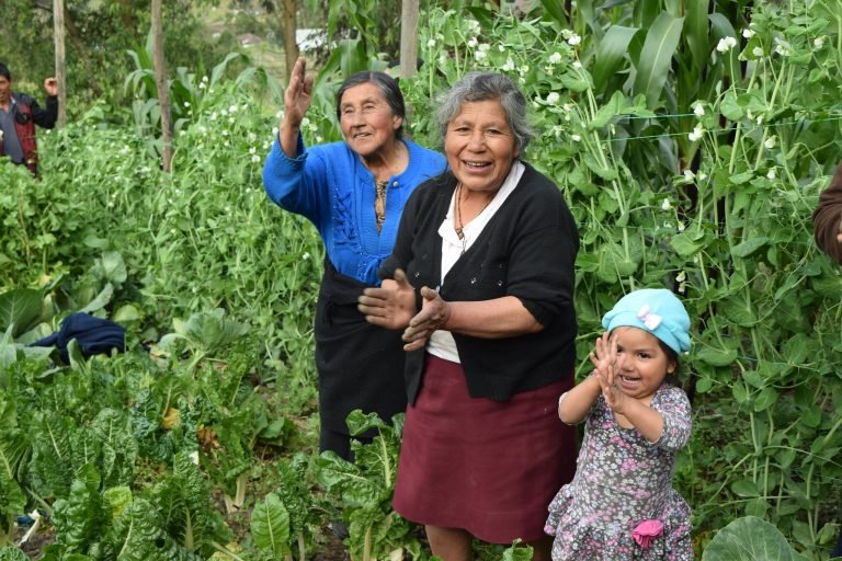 FAO destaca papel clave de agricultura ecológica para el desarrollo sostenible