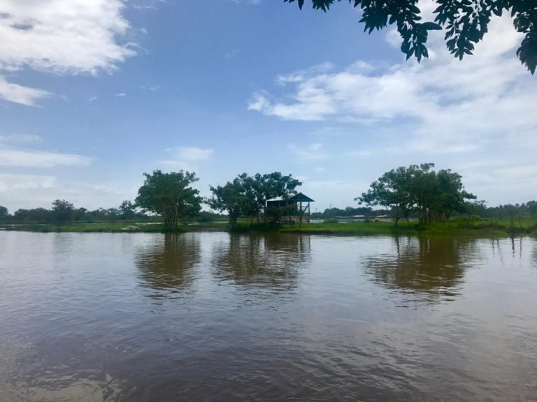 Área Marina de Pesca Responsable garantiza el uso y protección adecuado de los recursos pesqueros