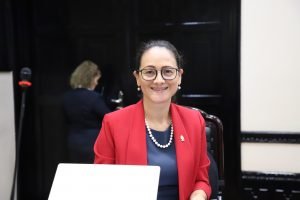 Nielsen Pérez sobre investigación a defensora: Hubiésemos querido mayor transparencia y publicidad