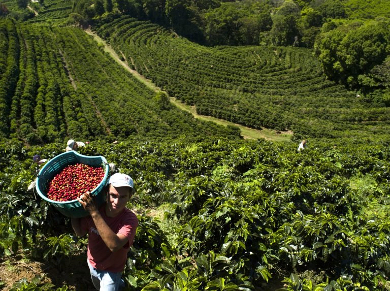 Sector Agropecuario costarricense presenta ambiciosa agenda en la COP25