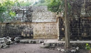 Descubren palacio usado por la élite maya en zona arqueológica del este mexicano