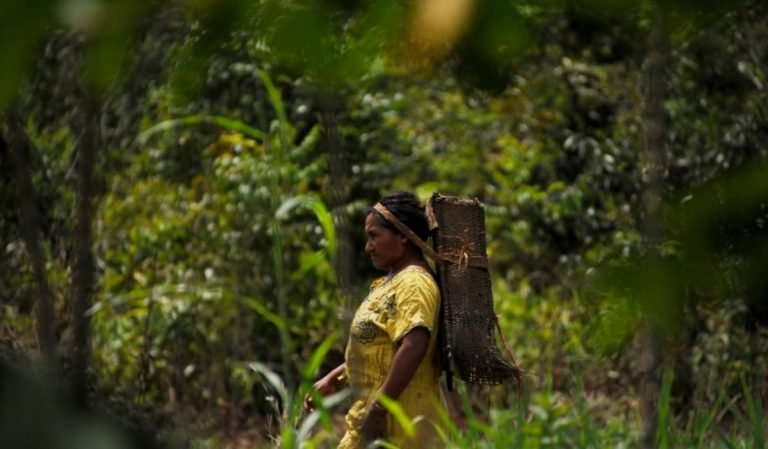 Minería ilegal venezolana: A debate crimen transnacional, desplazamiento y violencia