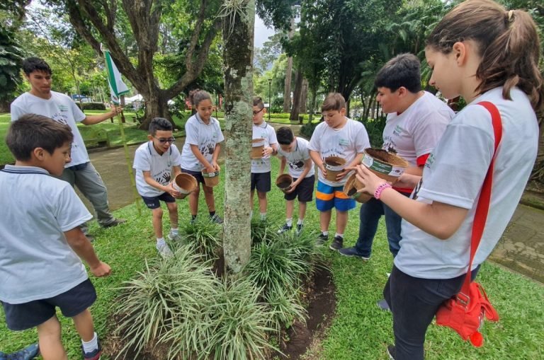 Costa Rica conmemora el Día Mundial del Suelo con reconocimiento de la FAO