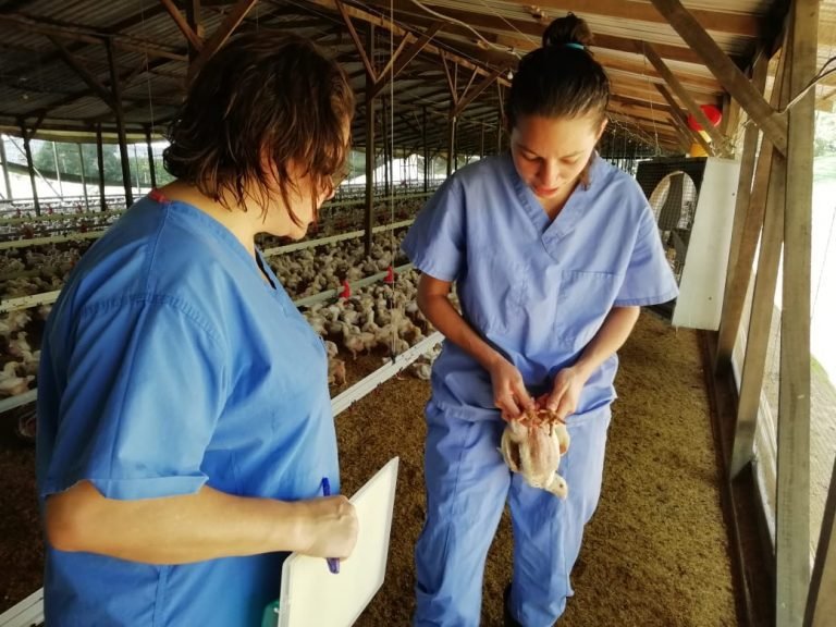 Costa Rica avanza en la estrategia nacional contra la resistencia a los antimicrobianos