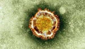 ¿Qué peligros presenta el coronavirus aparecido en China?