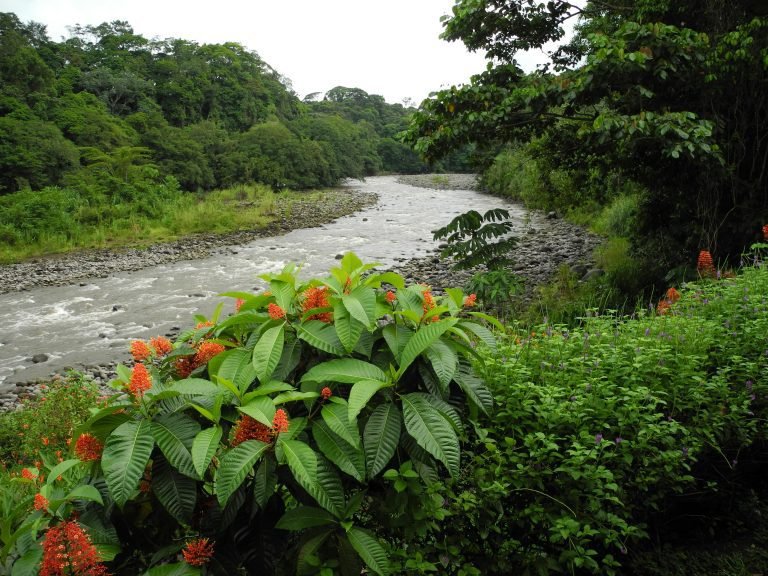 Proyecto del río Sarapiquí generará valiosa información para la protección y conservación de recursos hídricos