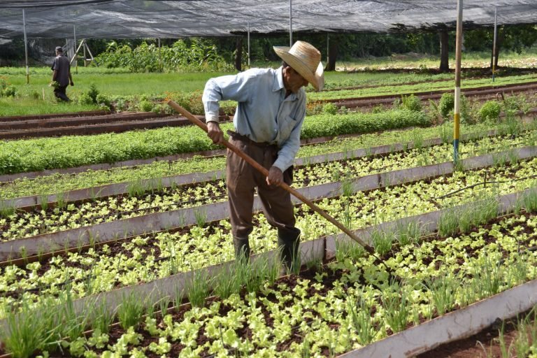 Fondo Verde para el Clima aprobó un proyecto de resiliencia climática en Cuba de USD $ 119 millones