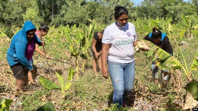 Miles de mujeres rurales solicitaron intervención de la Defensoría en el 2020