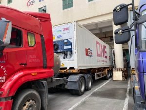 Llegó a China primer cargamento de carne de cerdo costarricense