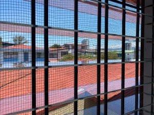 Arrestan a hombre que incumplió orden sanitaria en Pococí